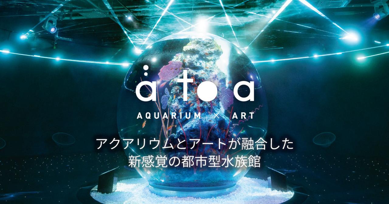 画像: 【公式】アトア átoa - 劇場型アクアリウム(神戸)
