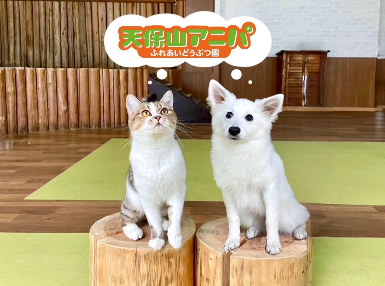 画像: 天保山アニパ | ショップリスト | 天保山マーケットプレース