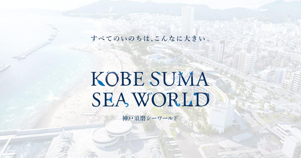 画像: 【神戸須磨シーワールド】 - すべてのいのちは、こんなに大きい
