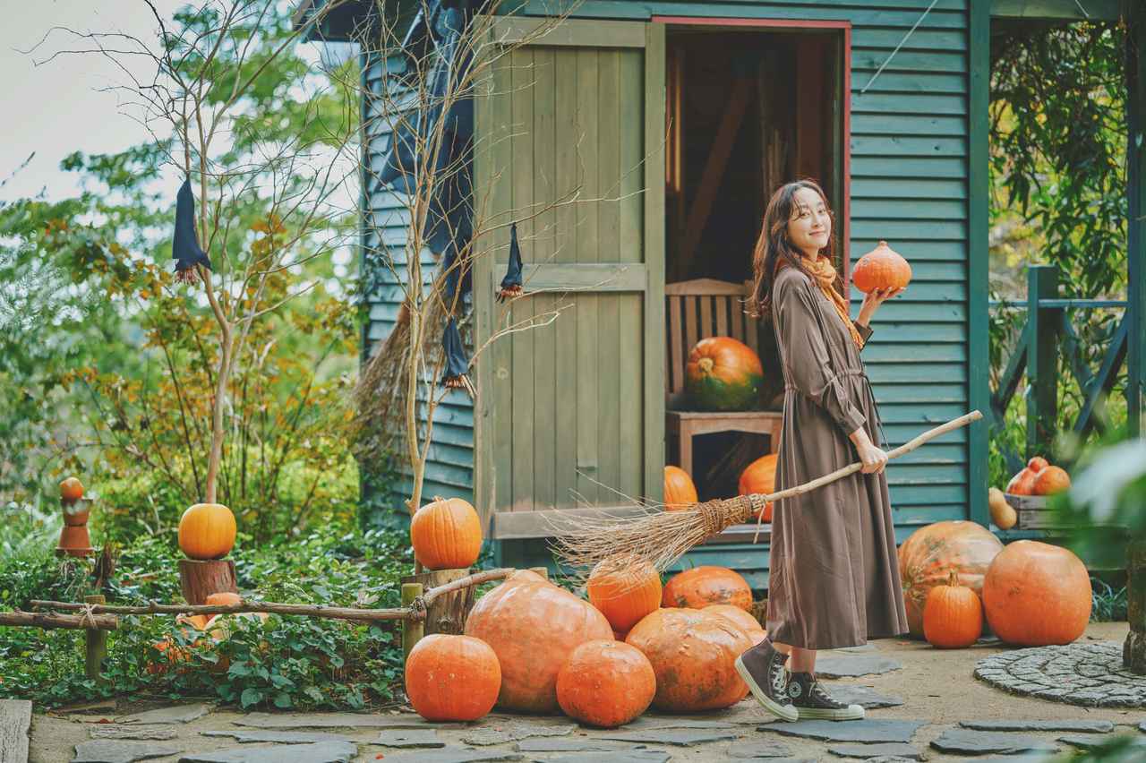 画像: ハロウィンフェア2026 | 神戸布引ハーブ園/ロープウェイ