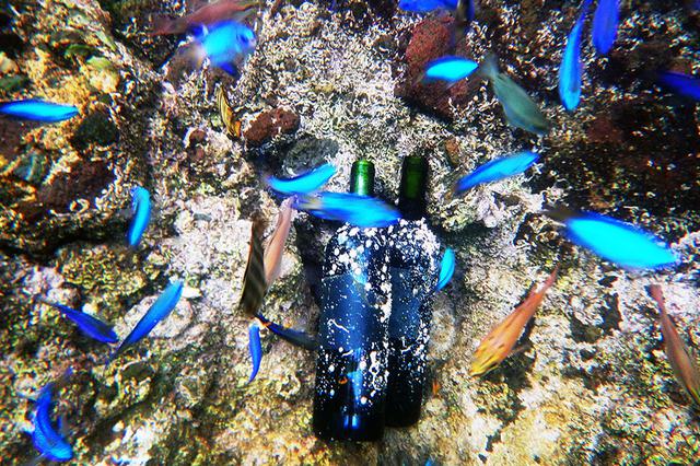 画像: ㈱Enjoyは、海底熟成酒『VOYAGE』を昨年に引き続き、 12月17日、西伊豆の海底へ設置