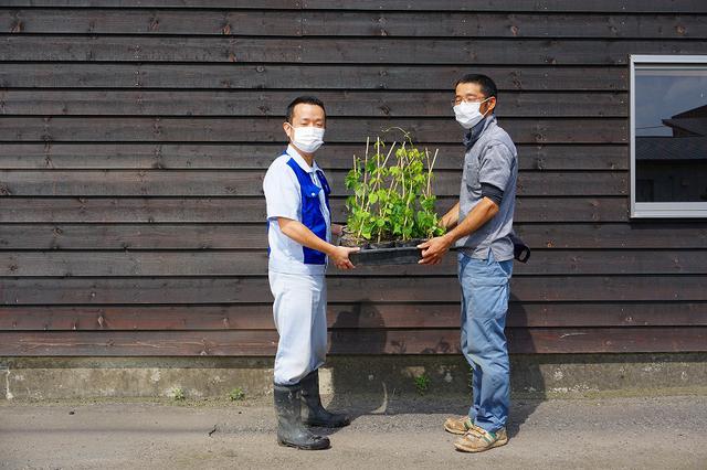 画像: 生産者に苗を渡す様子
