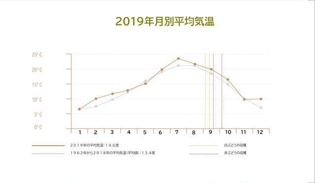 画像2: 【ボルドープリムール2019】「バロン・フィリップ・ド・ロスチャイルド」社 オンラインワインテイスティング