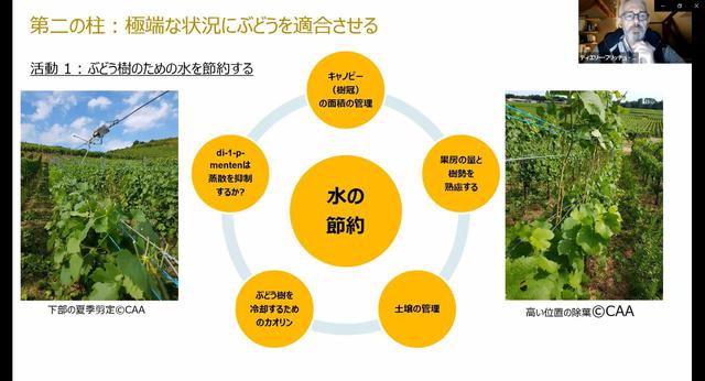 画像2: コート・デュ・ローヌとアルザスにおける*サステイナブルな取り組み