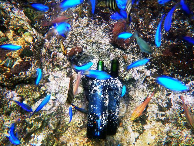 画像: 海底に設置されたワインは、まろやかでコクのある味わいに熟成される