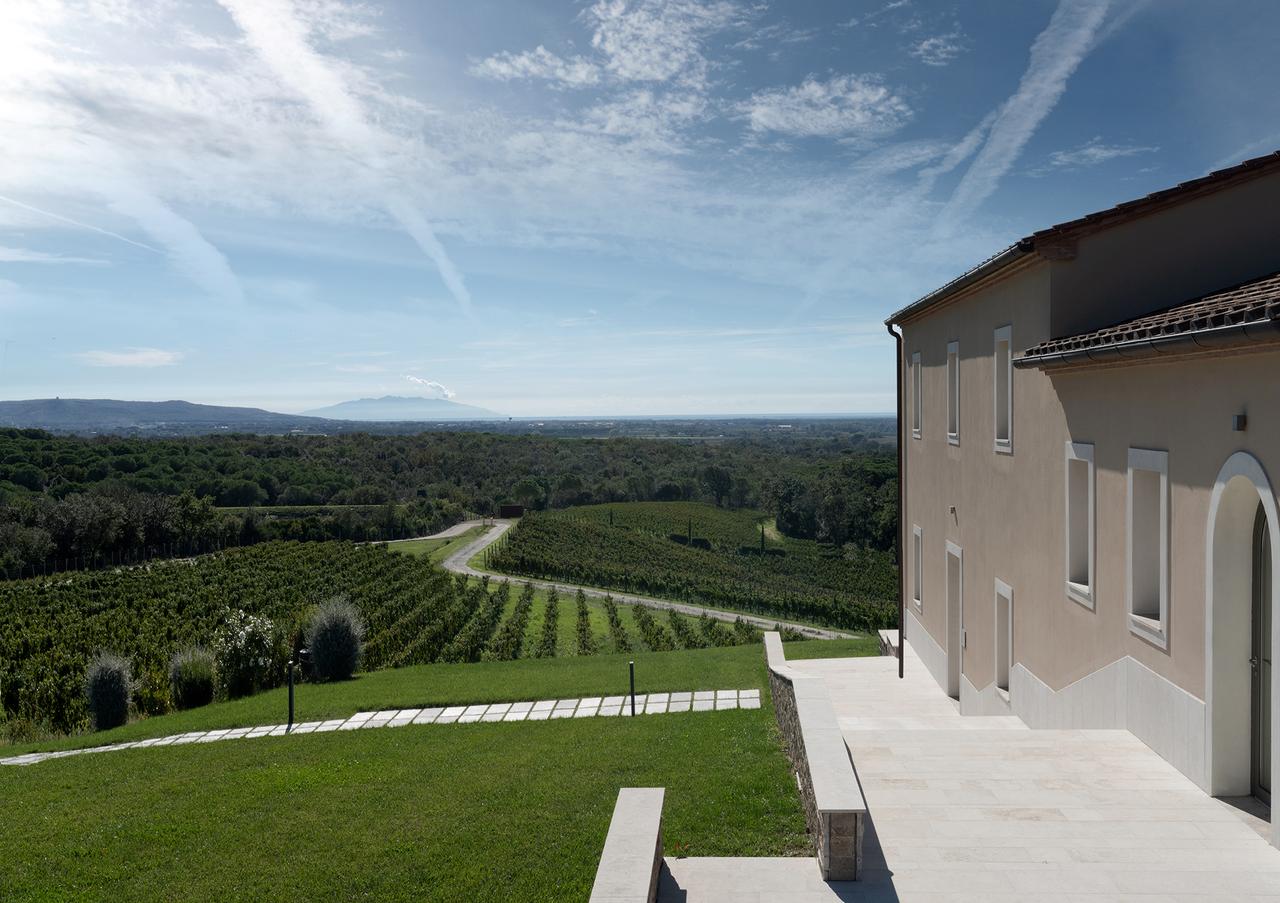 画像: 「マッセート」について