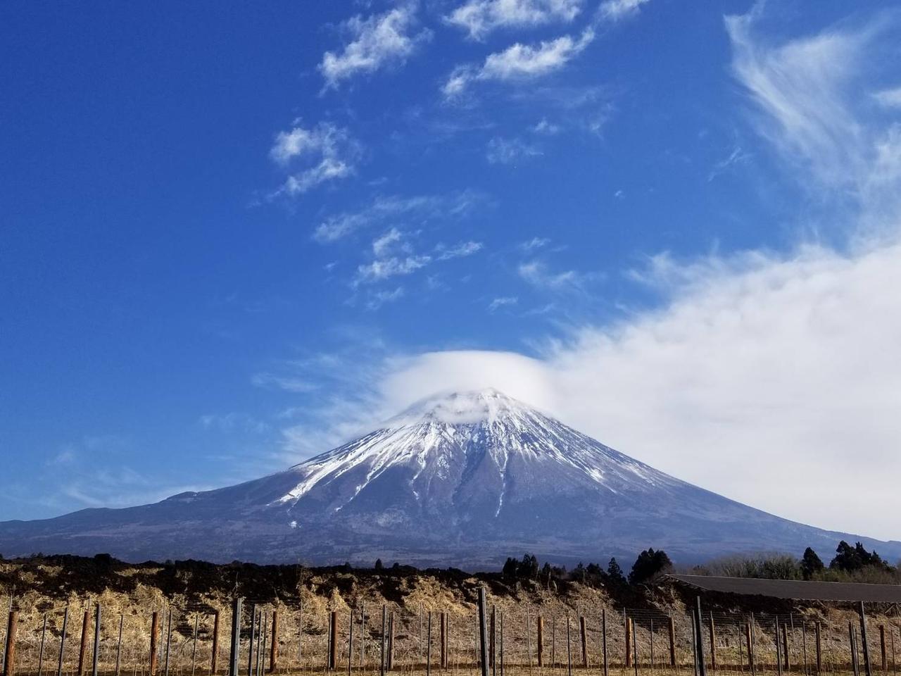 画像: 雄大な富士山の麓に広がる「富士山ワイナリー」の畑　写真提供：富士山ワイナリー