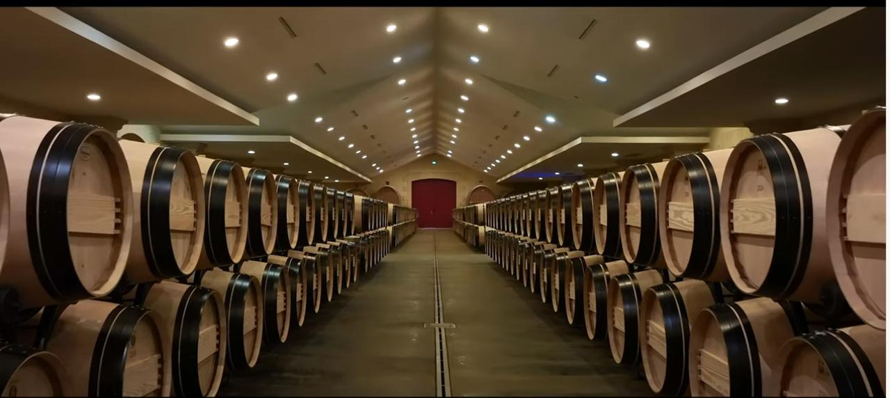 画像: 醸造哲学と技術革新の融合