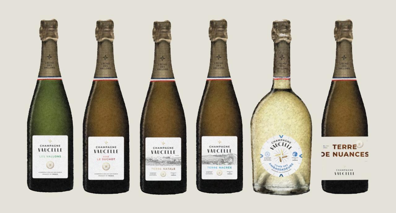 画像3: シャンパーニュ・ヴォセル
コート・デ・バールから誕生した新世代のプレミアムシャンパーニュ