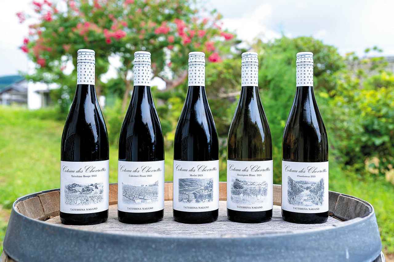 画像: 伊澤氏が手掛ける「コトー・デ・シュヴェレット」。 左から『タテシナルージュ 2022年』（3630円） 、『カベルネ・フラン 2023年』（3630円）、『メルロー 2023年』（3630円）、『ソーヴィニヨン・ブラン 2024年』（3300円）、『シャルドネ 2023年』（3630円） ※価格はすべて税込