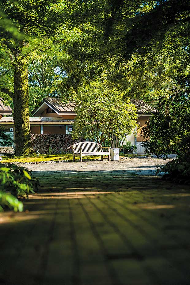 画像1: 土を作り、ブドウに向き合い―畑の進化がワインに実を結ぶ
「安心院葡萄酒工房(あじむぶどうしゅこうぼう)」(大分県)