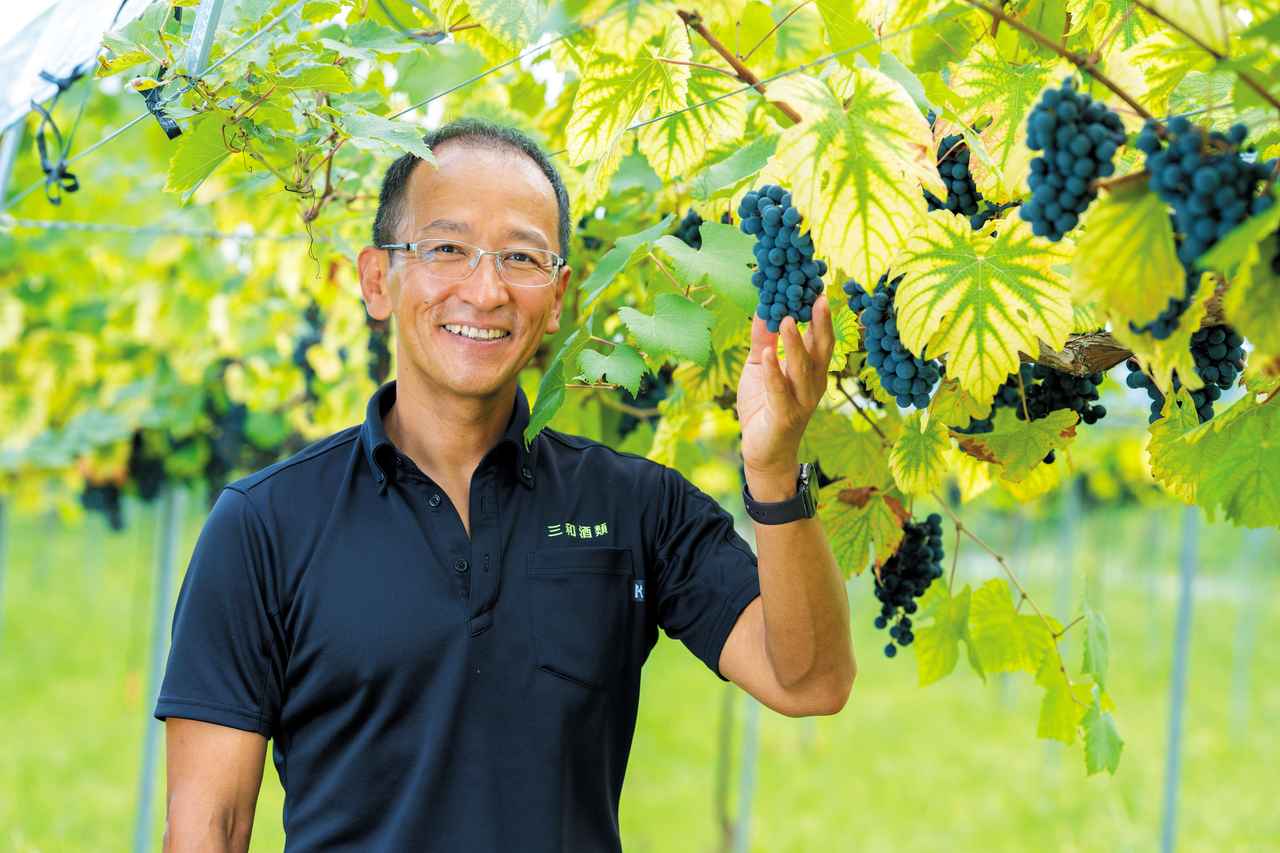 画像: 古屋浩二氏 「安心院葡萄酒工房」工房長・ヴィンヤードマネジャー。三和酒類入社後、『いいちこ』の製造管理を経て、洋酒の開発・製造に携わる。海外での研修・実務経験を積み、2001年から工房の立ち上げに参画。 ワイナリー運営や自社畑の管理を担い、安心院ワインの品質向上に尽力。21年からは日本酒製造も担当