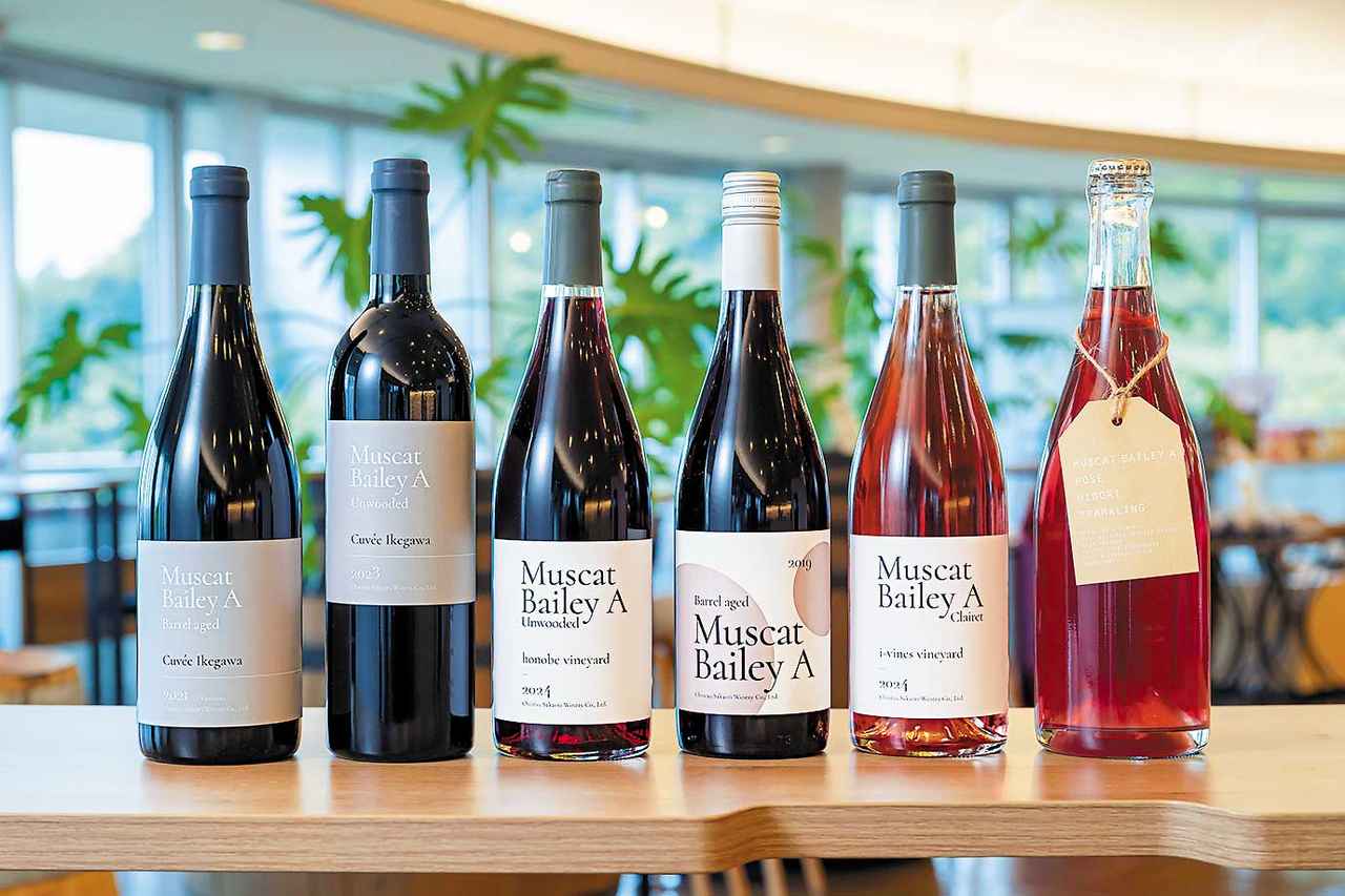 画像: 左から『マスカットベリーA 樽熟成 キュヴェ・イケガワ 2021年』(3850円)、『マスカットベリーA アンウッデッド キュヴェ・イケガワ 2023年』(2860円)、『マスカットベリーA アンウッデッド honobe vineyard 2024年』(2200円)、『マスカットベリーA 樽熟成 2019年』(1980円)、『マスカットベリーA クレーレ i-vines vineyard 2024年』(1980円)、『マスカットベリーA ロゼ にごりスパークリング 2024年』(2200円) ※価格はすべて税込