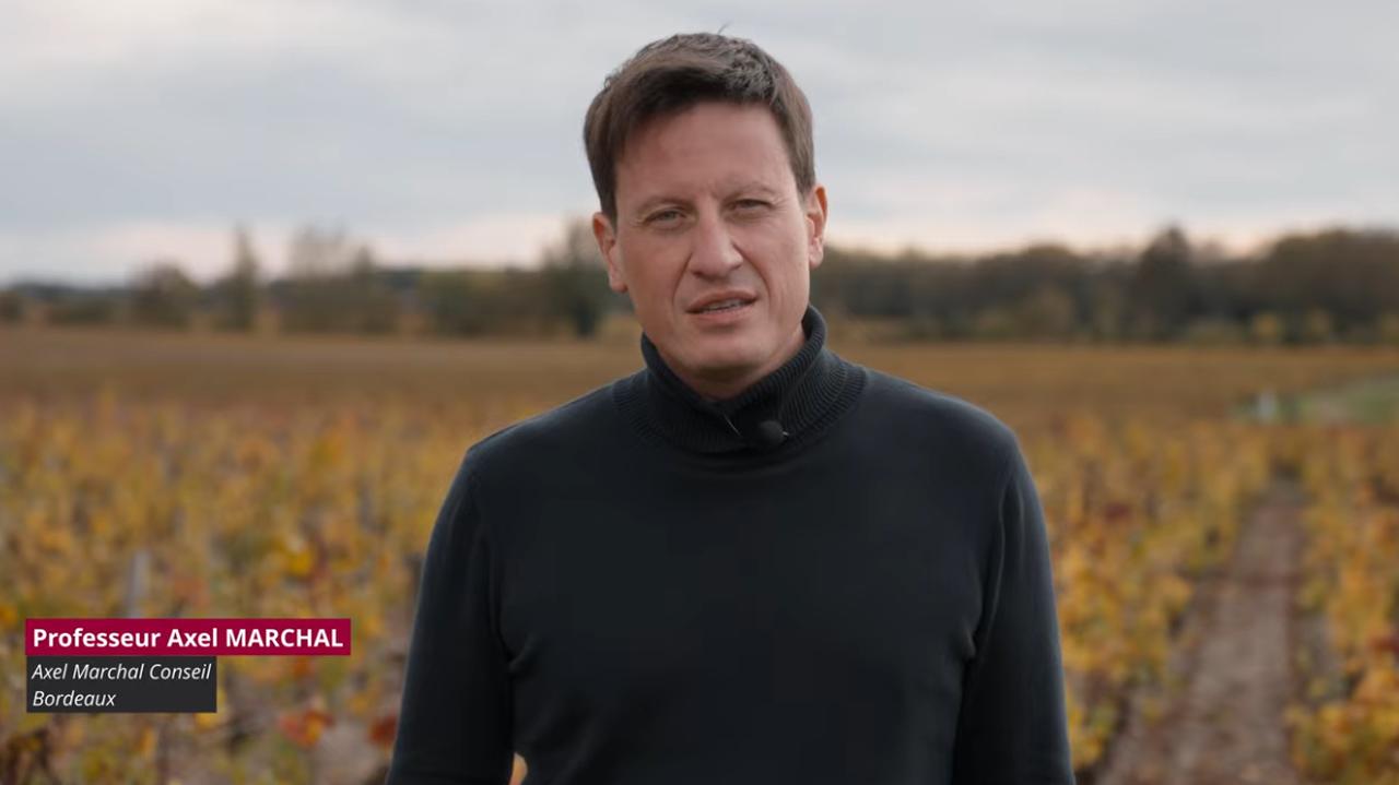 画像: アクセル・マルシャル教授（アクセル・マルシャル・コンサルティング）