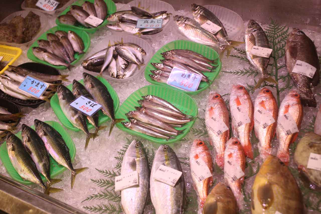 画像7: 雪と海と、美味に会いに。冬の北陸へ~富山の酒と肴を堪能する旅~