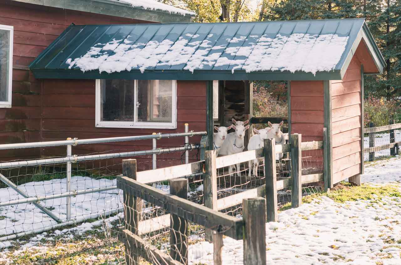 画像: 最新の醸造施設を駆使し、ワインコンクールでも高評価 「ドメーヌレゾン」