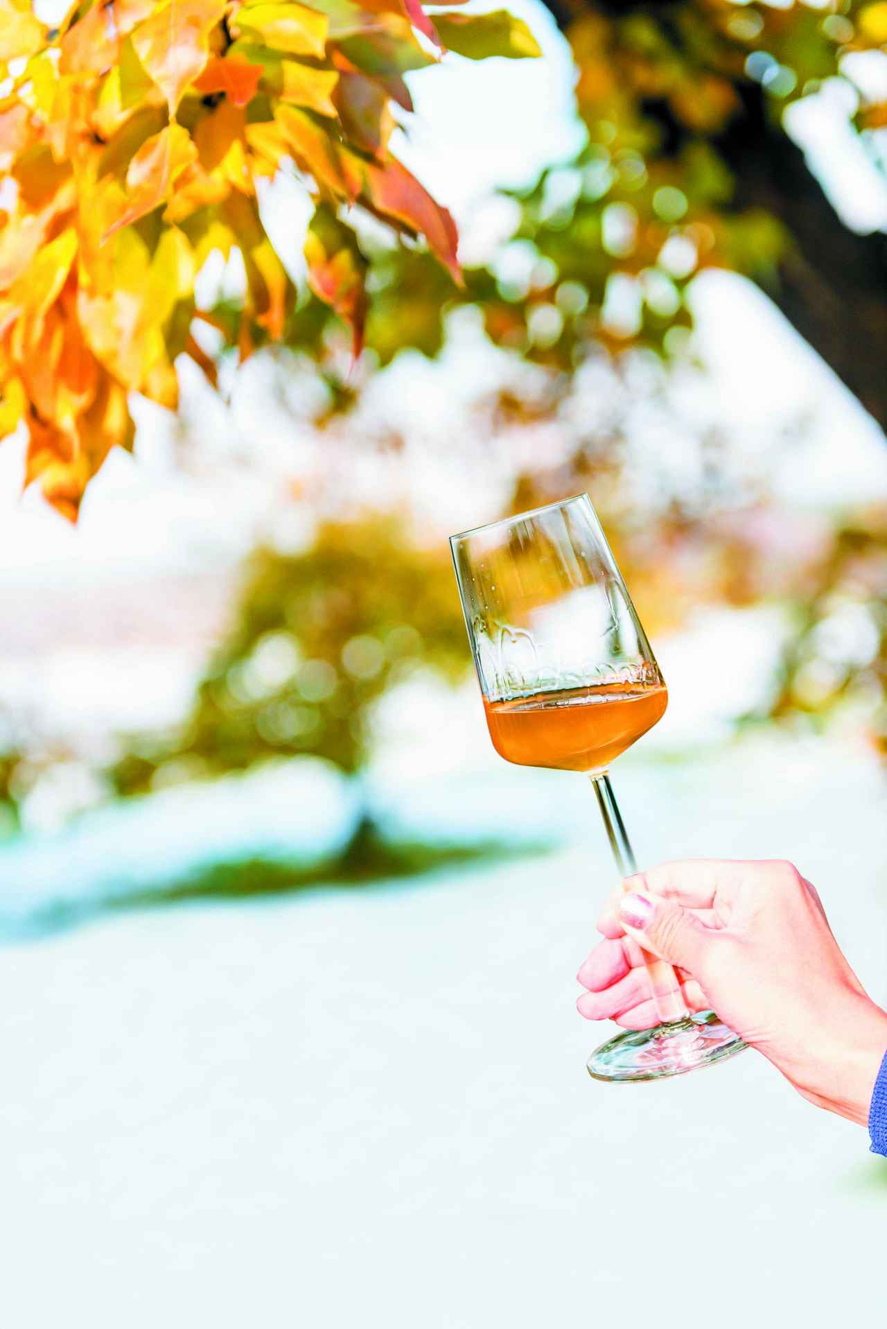 画像: 富良野のワイナリー全4軒、最新リポート～ラベンダーだけじゃない。食とワインを巡るツーリズム～