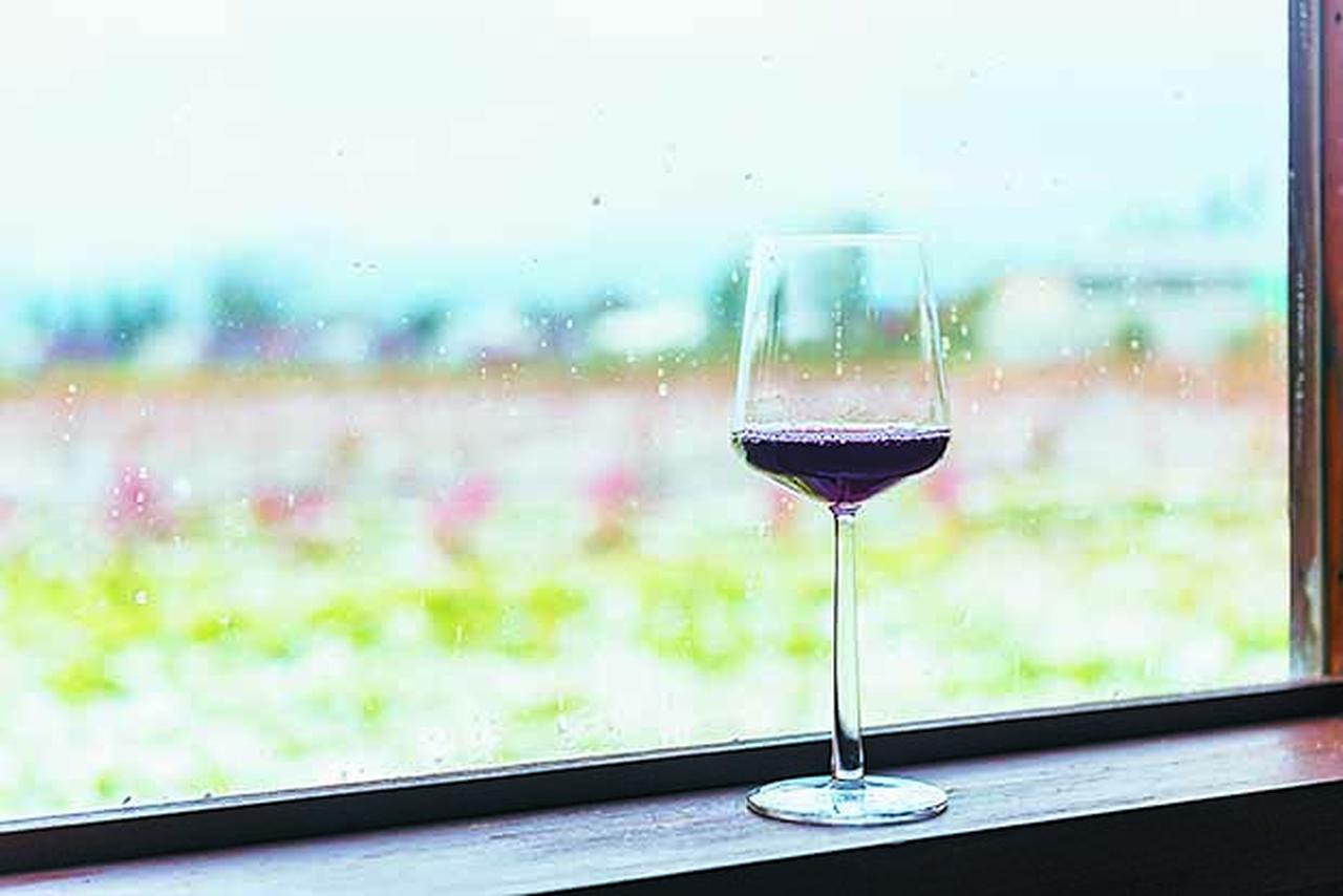 画像1: 冬の富良野 ワインとりっぷ～ワイン編～