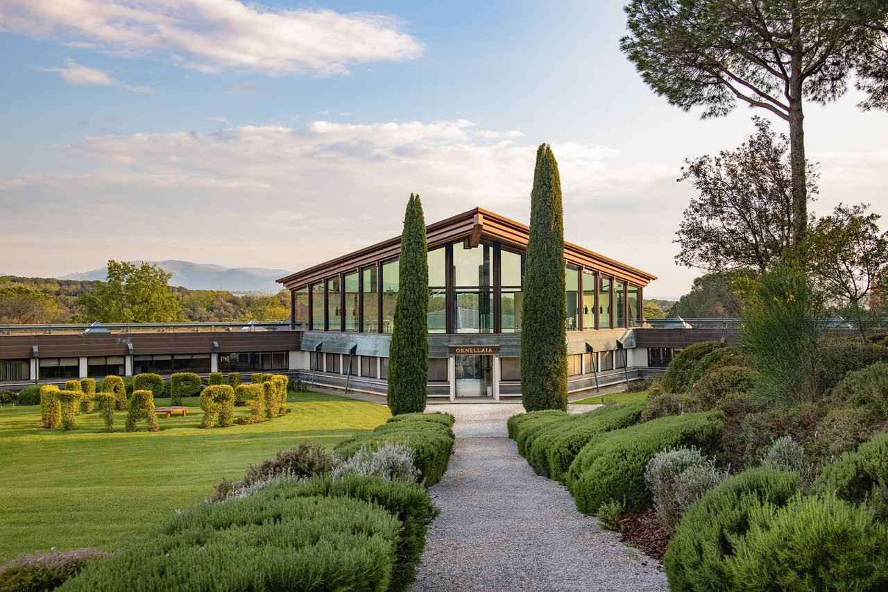 画像: Ornellaia - Bolgheri Tuscany | Ornellaia