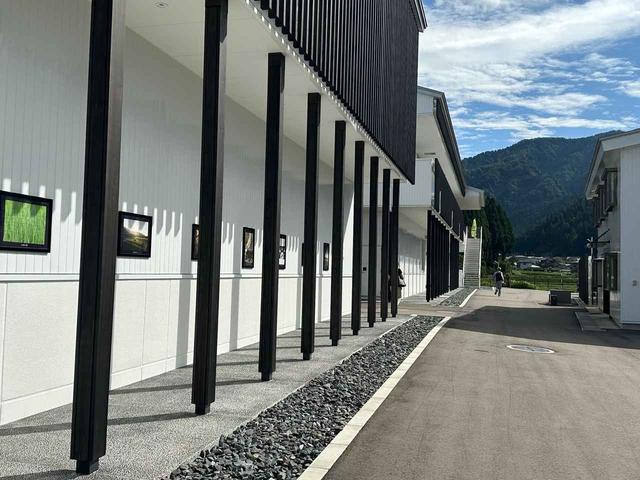 画像2: 吉田酒造「永平寺白龍」