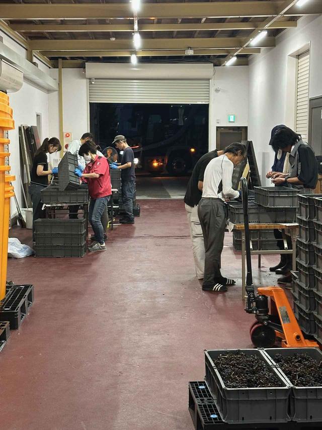 画像4: 越前の土から、ワインを醸す「SIX THREE ESTATE WINERY」