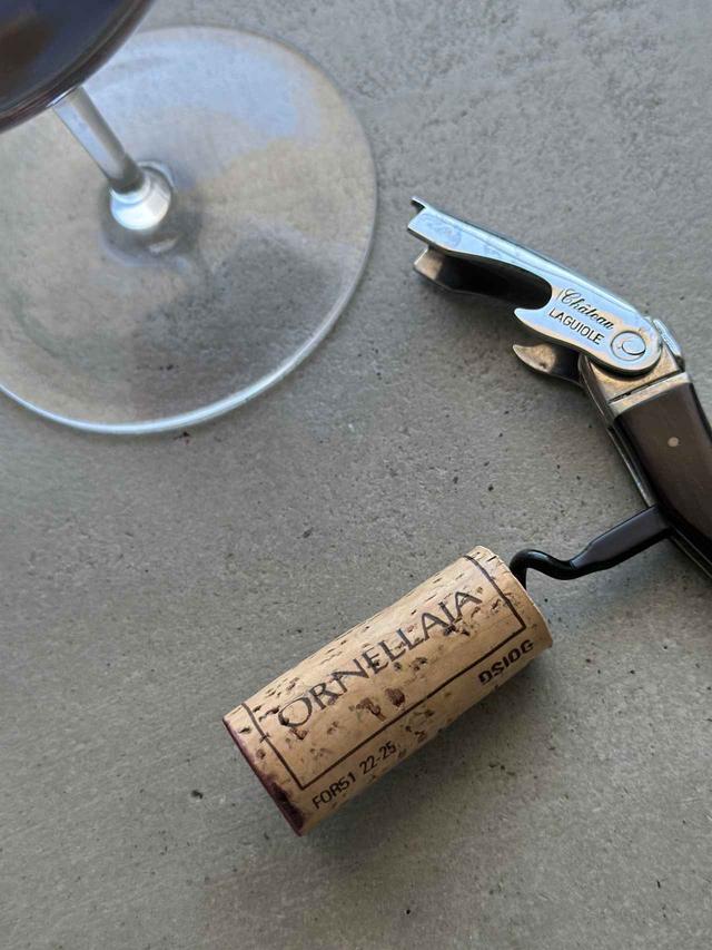 画像1: 生命力あふれる2023年ヴィンテージを試飲