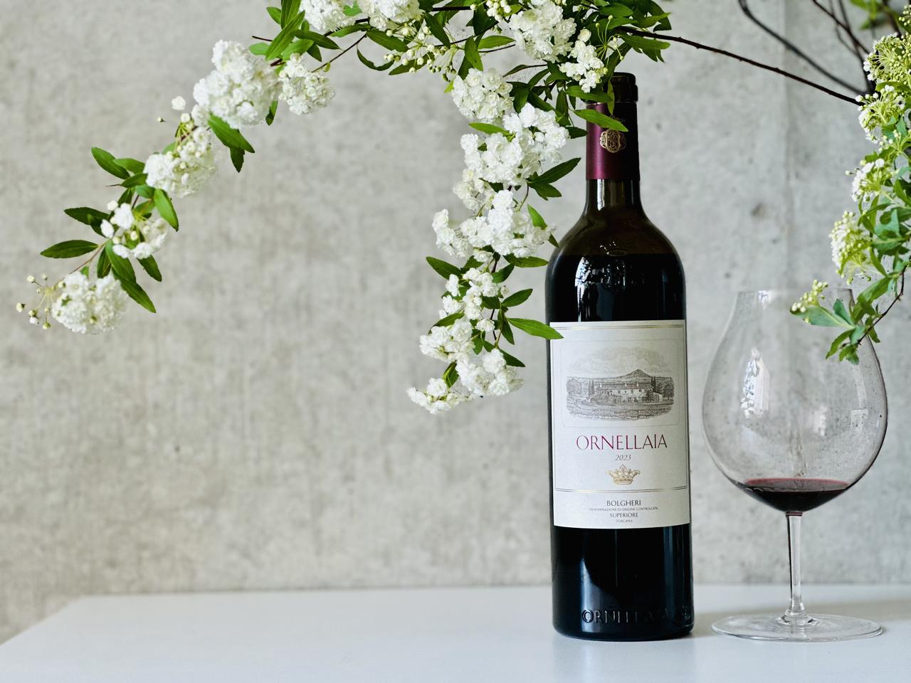 画像: 力強いテロワールが生み出すエネルギー