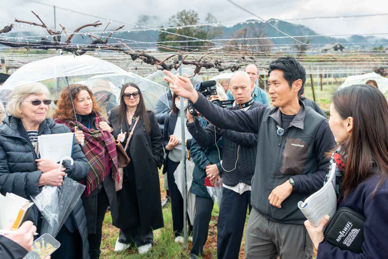 画像: 「勝沼醸造」取締役・製造部長の有賀翔氏が棚栽培の甲州を解説