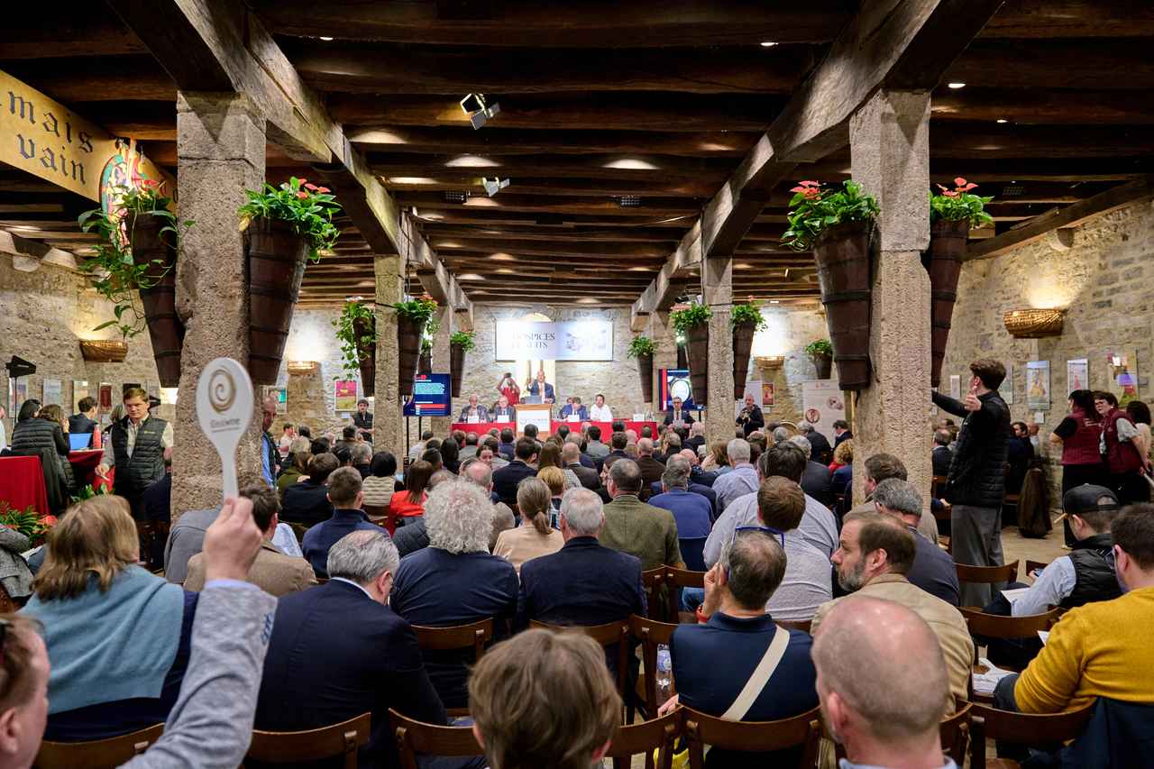 画像2: ドメーヌ概要 ── ブルゴーニュ伝統の守護者