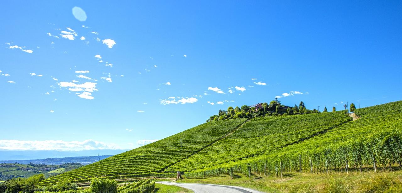 画像: バルバレスコ/トレイーゾ村の自社畑「カシーナ イル・ブリッコ」