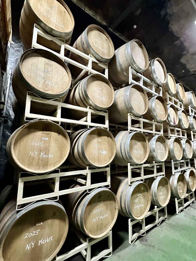 画像: フレンチオークの古樽を中心に使用し、穏やかな酸化熟成を促す。熟成期間は白ワインで約8〜9カ月、赤ワインで約1〜2年。品種ごとの個性を生かしながら、調和のとれた味わいへと導いていく