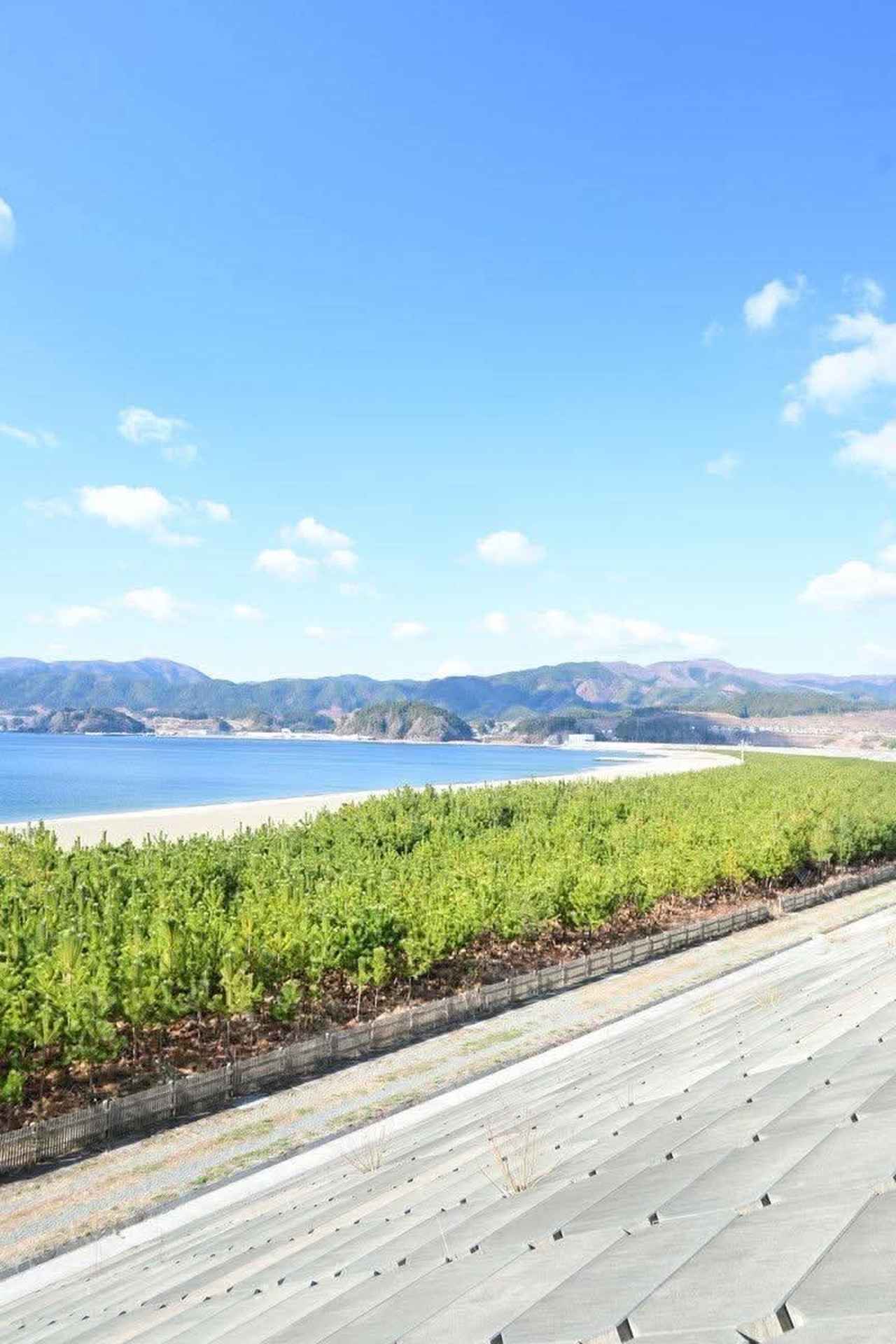 画像: 陸前高田の「高田松原」に広がる、三日月形の美しい砂浜に由来して名付けられたワイナリー名「ミカヅキ」。震災後、「奇跡の一本松」とともに復興の象徴となったこの地への思いを胸に、郷土の原風景と未来への希望を映し出す