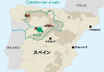 画像1: 白ワインのニューリーダー"ヴェルデホ"と注目の産地"ルエダ"の魅力とは？