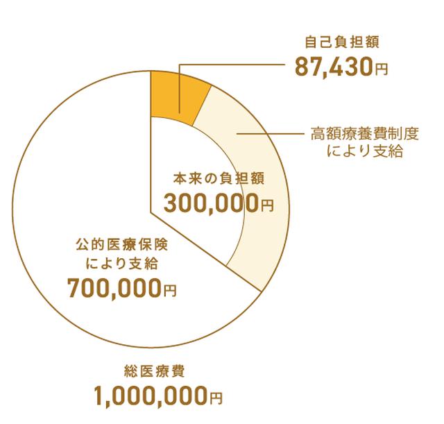 画像: 総額が100万円でも、最終的なAさんの自己負担額は87,430円になる