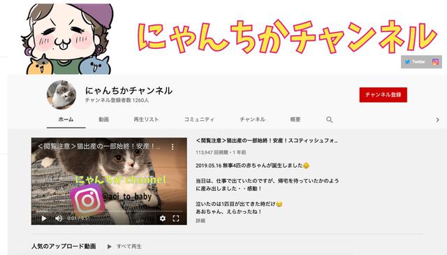 画像: 2019年からスタートした、愛猫を紹介するYouTubeチャンネル「 にゃんちかチャンネル 」。このほか、林さん自身のことを発信する「 林知佳占う人材(ちかさんチャンネル) 」を運営している。 ※この画像はスクリーンショットです