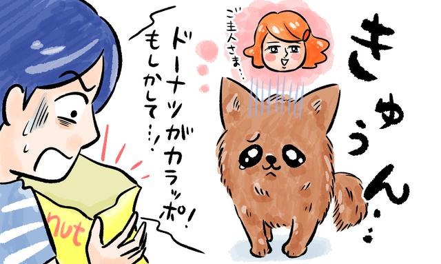 画像18: ウッカリくんとシッカリさん#3 愛する家族の一員だから……。ペット保険のメリットとは?