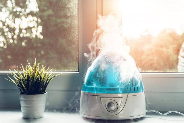 画像: 画像:iStock.com/ Sebastian Gorczowski