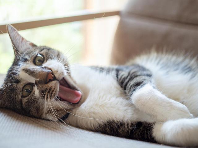 画像1: 画像:iStock.com/kaorinne