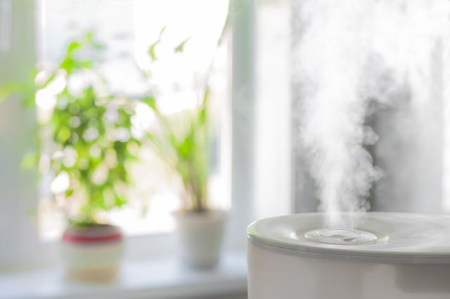画像: 画像:iStock.com/yocamon