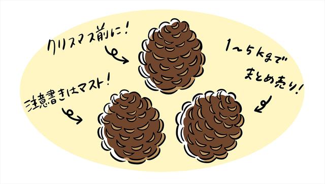画像: 【アイテム①】松ぼっくり(出品価格:〜1,000円)