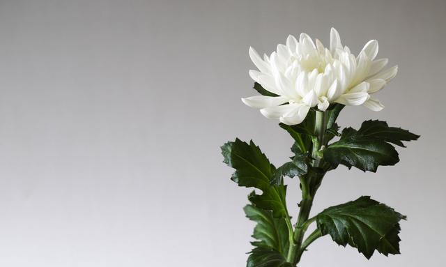 画像: 画像:iStock.com/hawk111