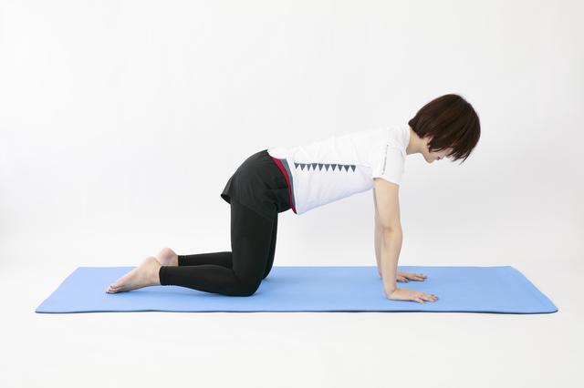 画像19: のがちゃんねる式・スタイルアップ筋トレ#2 毎日5分で効果実感!「お尻」のトレーニング