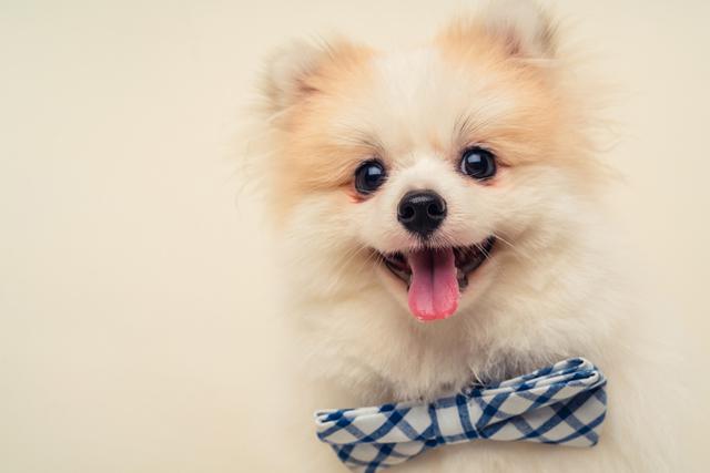 画像: 画像:iStock.com/whyframestudio