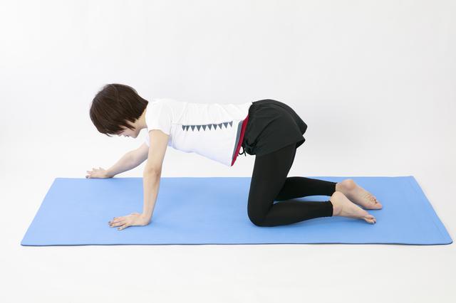 画像18: のがちゃんねる式・スタイルアップ筋トレ#3 毎日3分で効果実感!「二の腕」のトレーニング