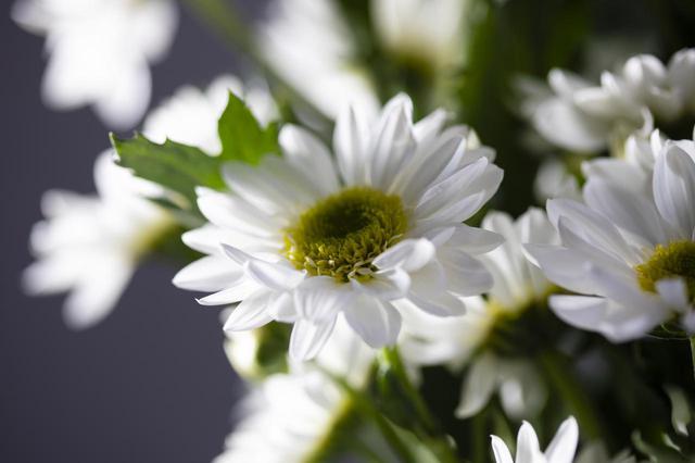 画像: 画像:iStock.com/Yuuji