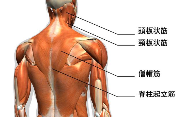 画像: 画像:iStock.com/Hank Grebe