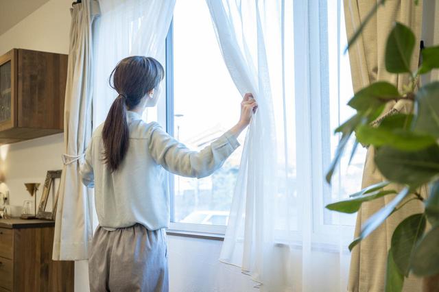 画像: 画像:iStock.com/west