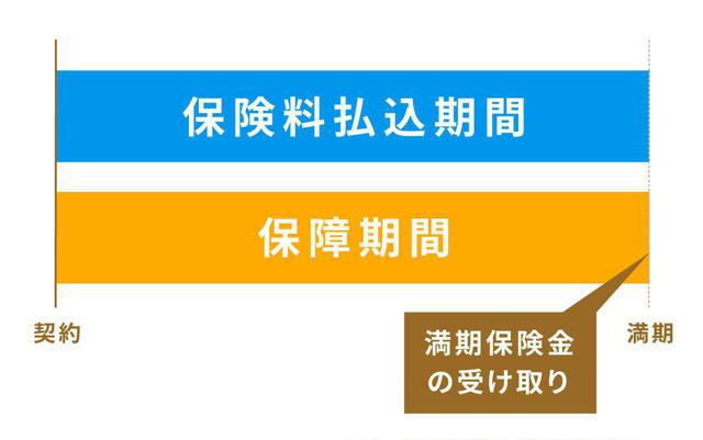 画像3: Q. 生命保険にはどんな種類があるの?