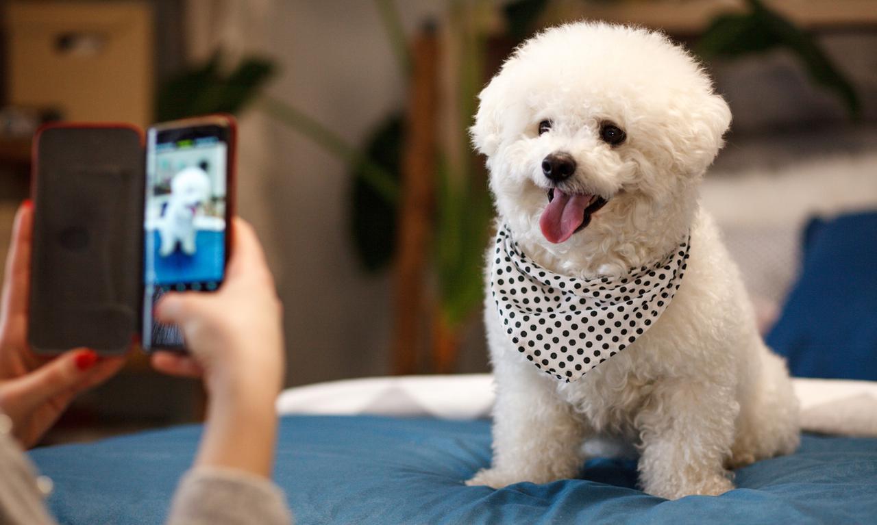 画像: 画像:iStock.com/ fotostorm