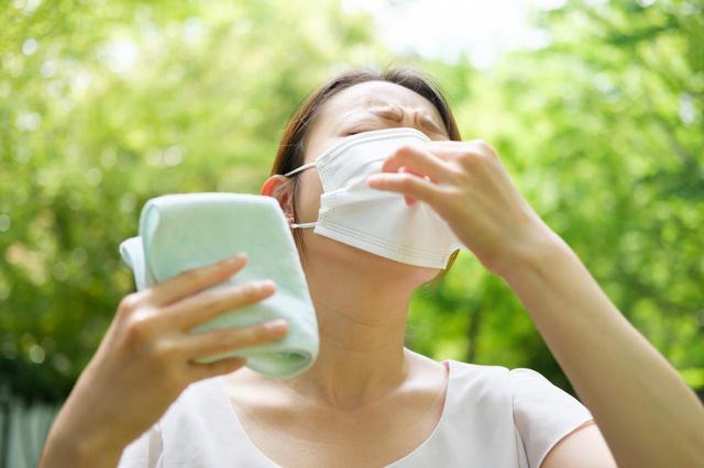 画像: 画像:iStock.com/itakayuki